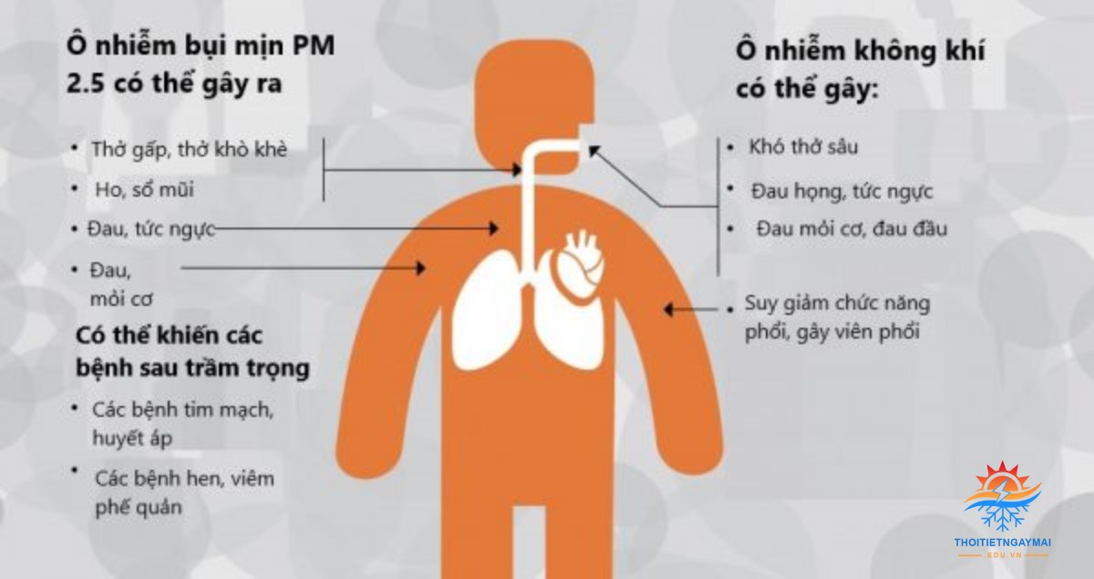 Hậu quả của ô nhiễm không khí