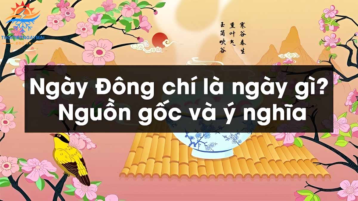 Đông chí là gì? Xem ngày giờ tốt cho ngày Tết Đông chí 2024